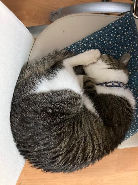 ウォーキング日記　清水