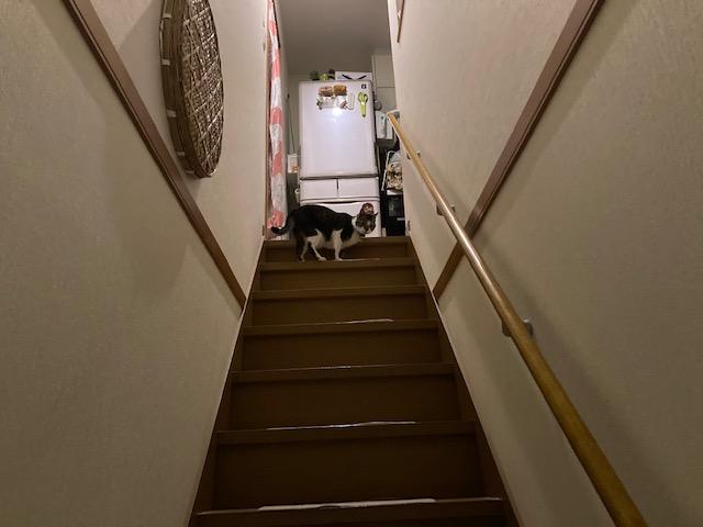 ウォーキング日記　清水