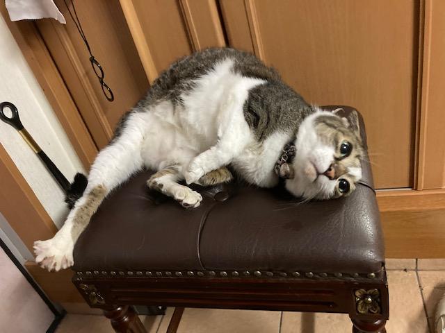 ウォーキング日記　清水
