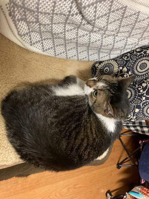 ウォーキング日記　清水