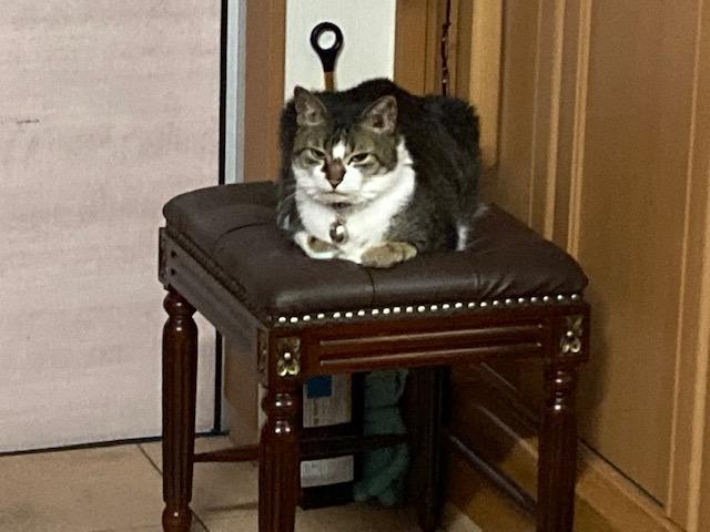 ウォーキング日記　清水