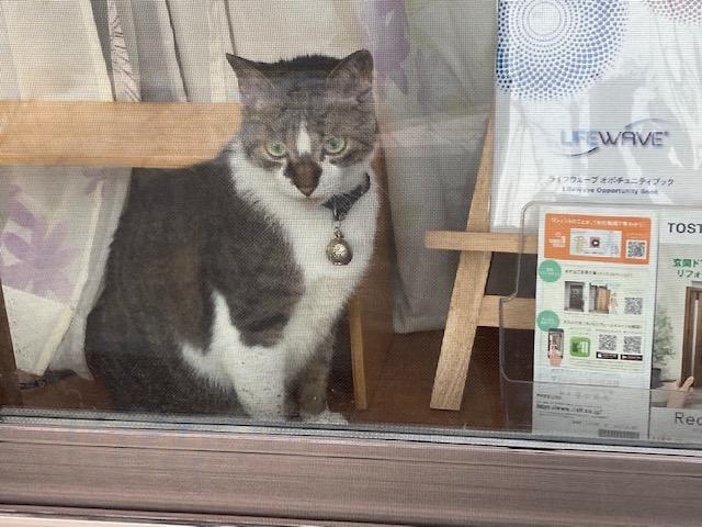 ウォーキング日記　清水