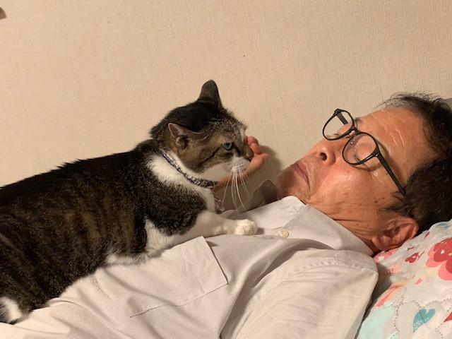 ウォーキング日記　清水
