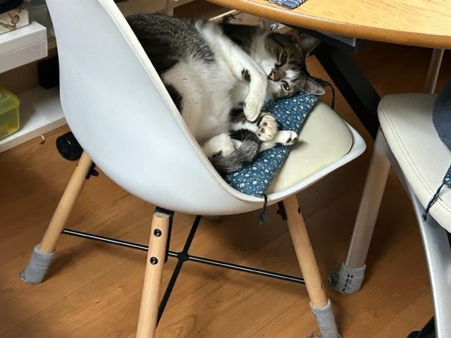 ウォーキング日記　清水