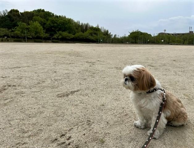 グラウンドにて。