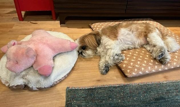 くつろぎ中・・・
