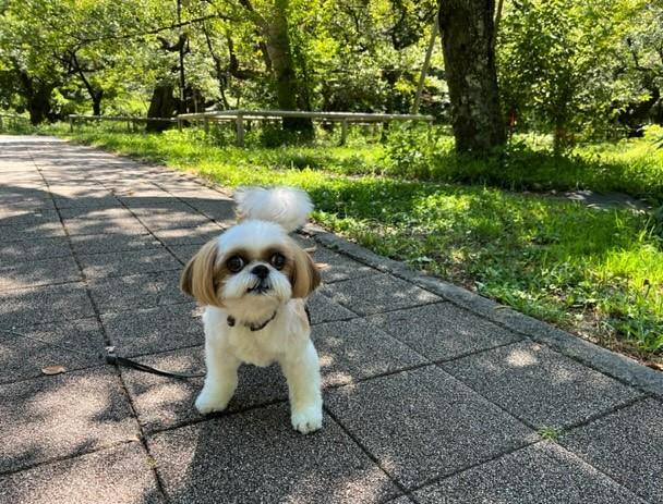夏休み。