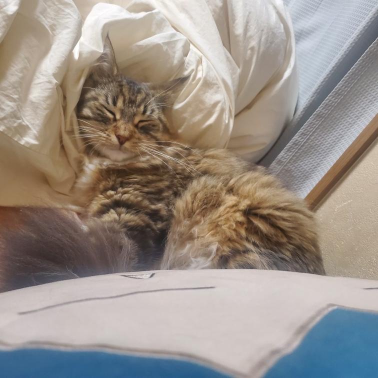 癒し