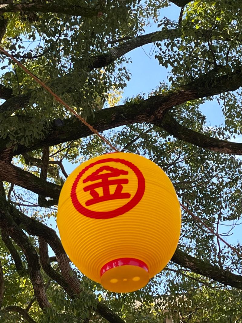 寅年母ちゃんの血統の歴史　ーMy Family History 四国旅　VOL.４ こんぴら参拝編