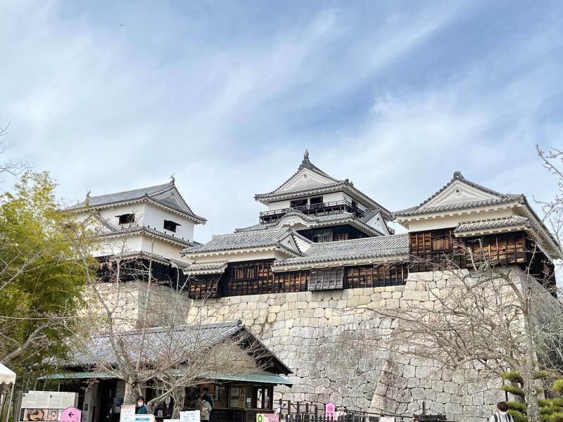 寅年母ちゃんの血統の歴史　ーMy Family History 四国旅　Vol.7  愛媛で　ん１０年ぶりの再会編