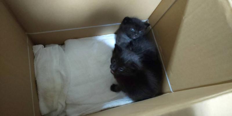 サッシ・インプラスのご相談は香川県のＬＩＸＩＬＦＣマドリエ高松