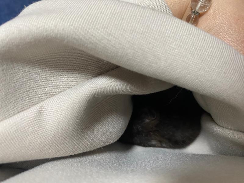 可愛いハムちゃん