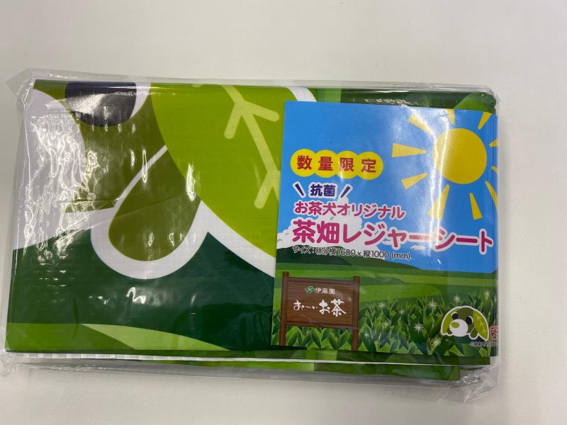 レジャーシート