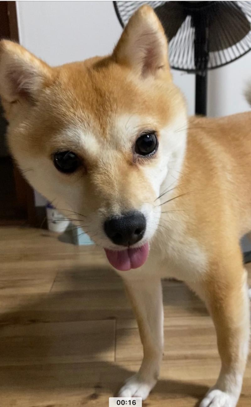 おぐら