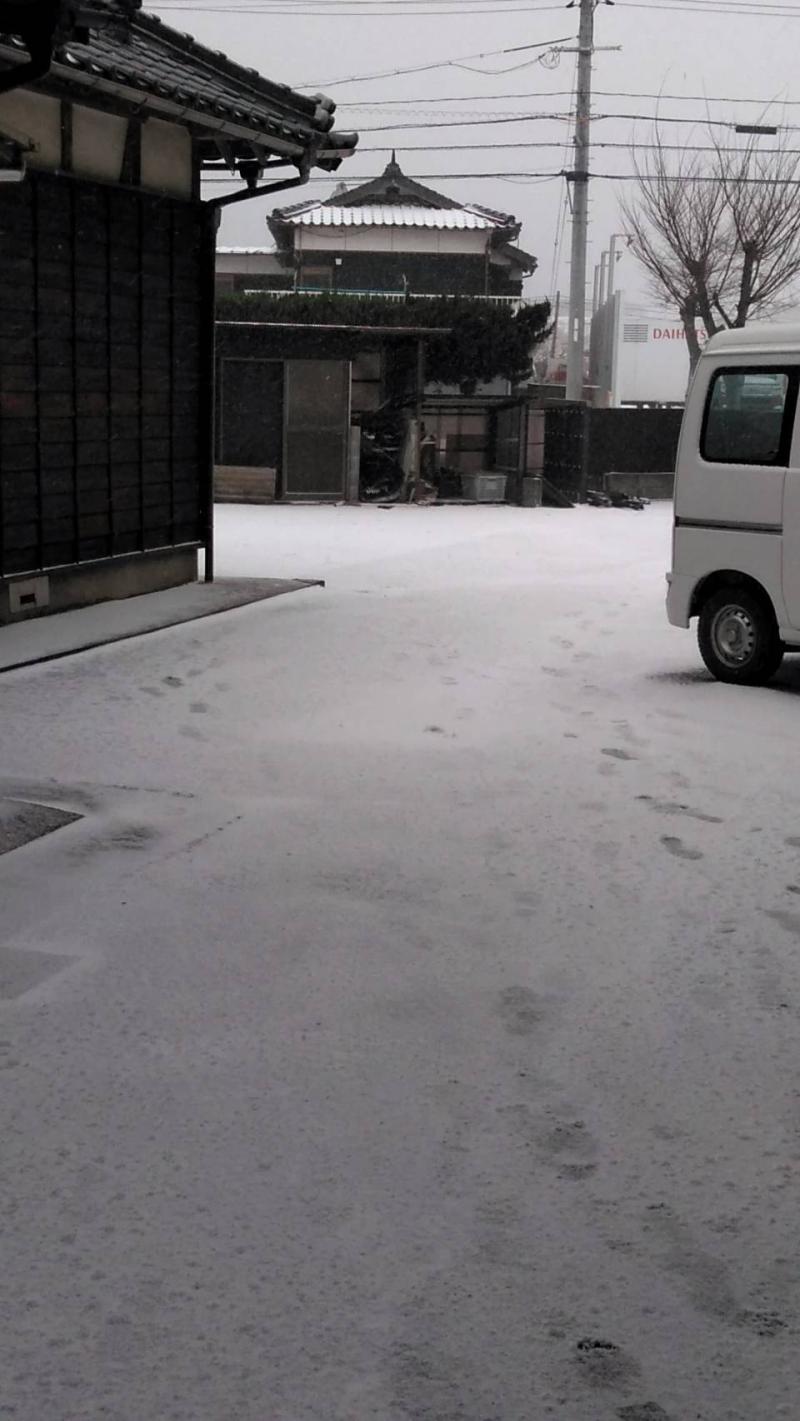 雪景色☃
