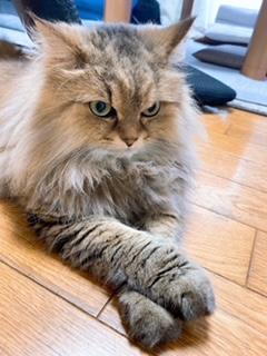 ２匹のもふもふ♪