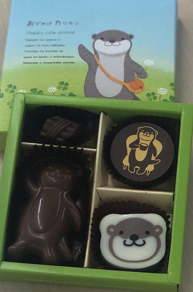 おでかけカワウソ♪