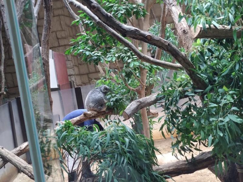動物園