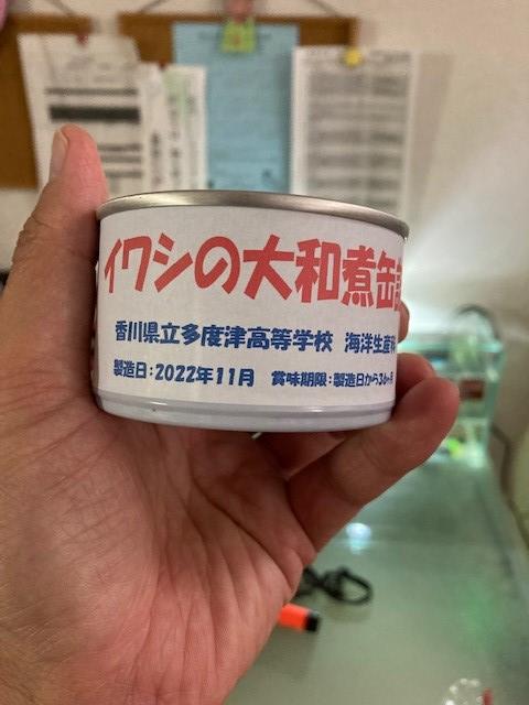いわし